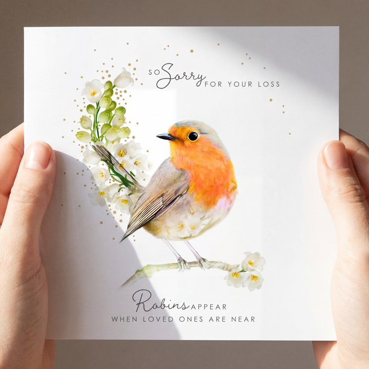 Robin Sympathy Greeting Card